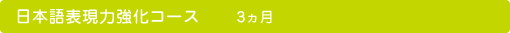 日本語表現強化コース 