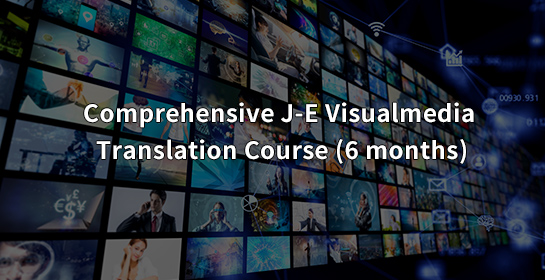 Comprehensive J-E Visualmedia Translation Course (6 months)